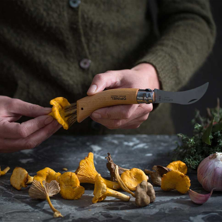 Couteau de poche Opinel champignon bois inox